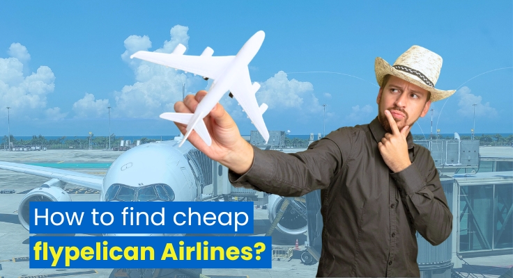 How to find cheap flypelican Airlines?
